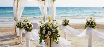 فندق ناسو Sunset Resort Bahamas